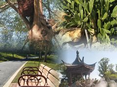 -东莞植物园