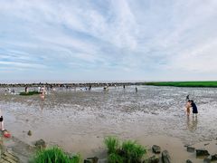 -南汇嘴观海公园