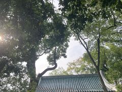 -古琴台