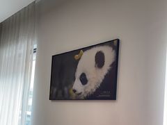 -金熊猫川菜餐厅