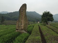 龙坞听风阁-听风阁农家私房菜茶楼(龙坞店)