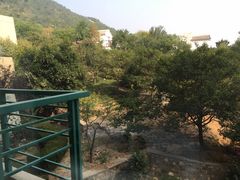 -泰安东尊华美达广场酒店·自助餐厅