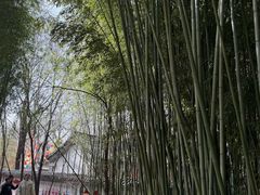 -竹泉村旅游度假区
