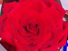 -维尔纳斯·生日蛋糕·动物奶油冰淇淋蛋糕(雨花店)