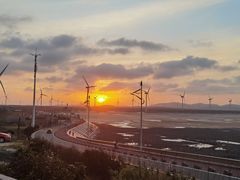 -长江澳风力发电景观区