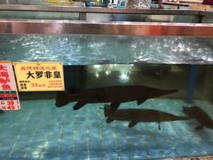 -花好悦园(瀛洲店)