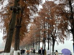 -椒顽新疆炒米粉(湖大店)