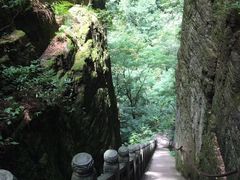 -东天目山风景区