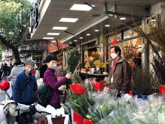 -溪岸路花鸟市场