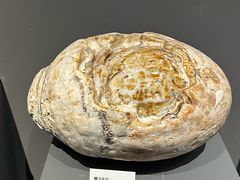 -重庆自然博物馆(新馆)