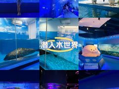 -重庆欢乐海底世界