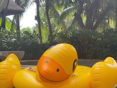 -海南清水湾莱佛士酒店