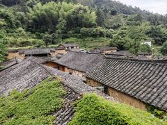-杨家堂村