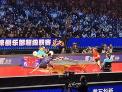 -梦之蓝青奥体育公园体育馆