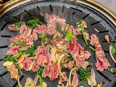 -杨小佳·齐齐哈尔烤肉·烤串(广州店)