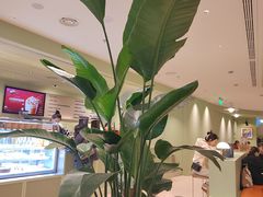 -Peet's Coffee皮爷咖啡(德基店)