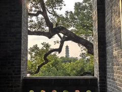 -江心屿景区