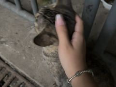 -南京工程学院(江宁校区)