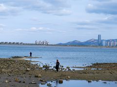 -养马岛旅游度假区