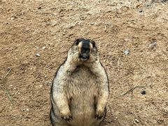 -茅山东方盐湖城景区