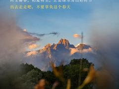 -名流健康高端体检中心·名宾门诊·健康管理