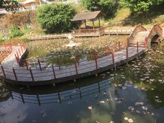 -珠海圆明新园