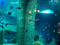 -正佳极地海洋世界