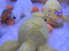 -小李子烧烤火锅地锅(枣行店)
