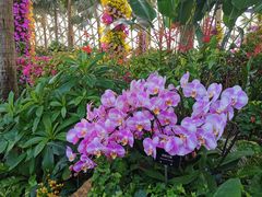 -上海辰山植物园