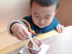 -哈根达斯(石家庄北国店)