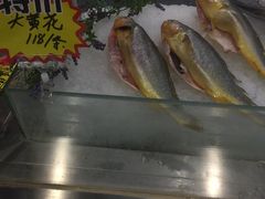 -渔娘渔家丹东海鲜(东直门店)