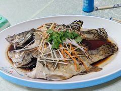 -掌勺人鱼馆(朝阳镇店)