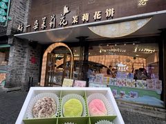 -好一朵茉莉花(老门东店)