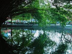 -棠湖公园