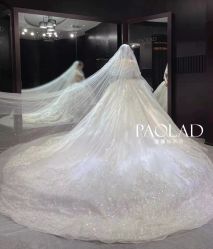 -南京宝娜嫁衣婚纱礼服馆(中央路店)