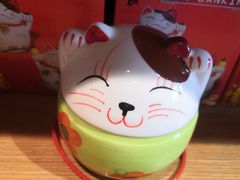 -猫咪博物馆(顶澳仔猫街店)