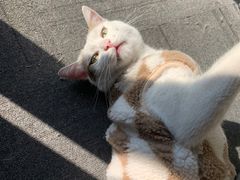 -青沐画室·专业美术培训