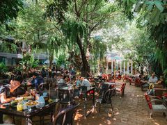 -Fern Forest Cafe