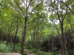 -云岫谷游猎自然风景区