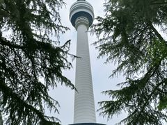 -龟山风景区-龟山电视塔