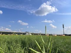 -光明小镇欢乐田园