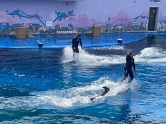 -北戴河圣蓝海洋公园