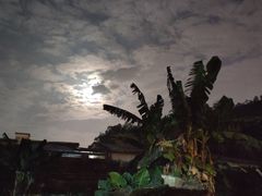 -三哥醉鹅(旧寨店)