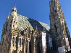 -斯蒂芬主教座堂(Stephansdom)