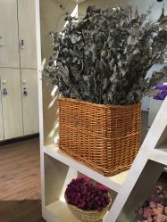 -丽人淘造型