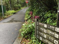 -广州市白云山风景名胜区