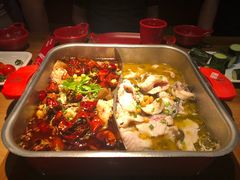 -舒来喜鱼锅(伊河路店)