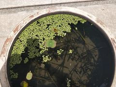 -南海禅寺