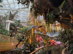 -正佳雨林生态植物园