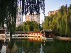 -团结湖公园